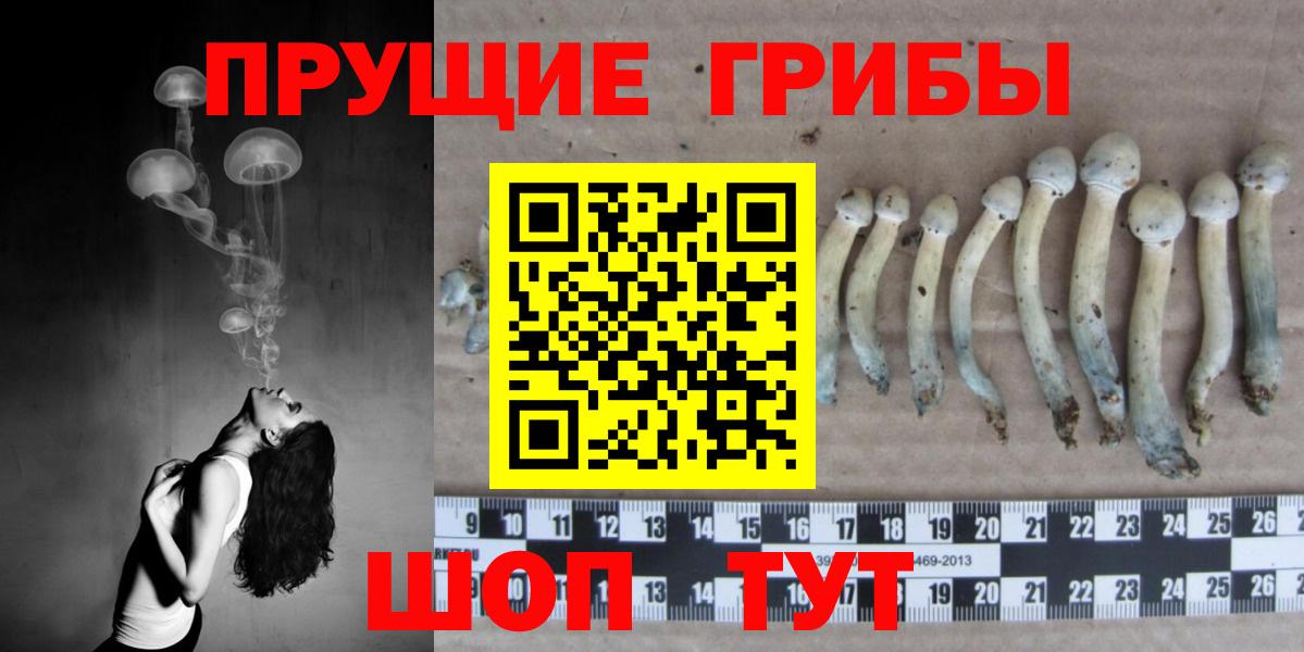 Чайковский  Псилоцибиновые грибы MAGIC MUSHROOMS  Вход с VPN 
